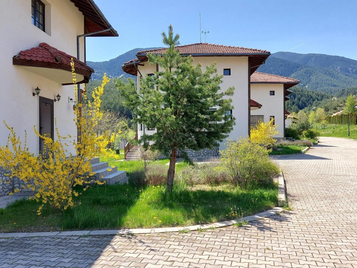Pinerose Resort Bansko Esterno foto