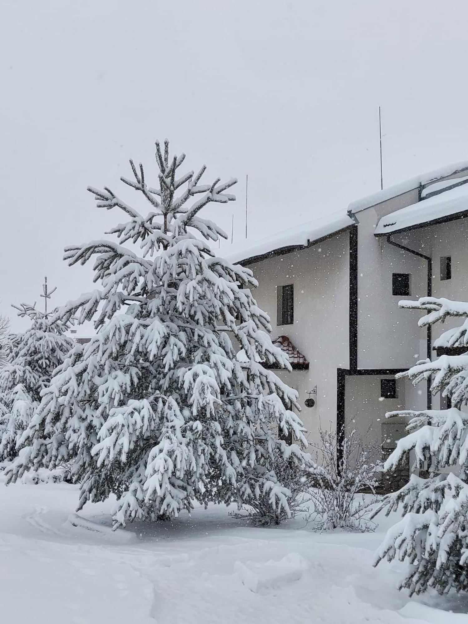 Pinerose Resort Bansko Esterno foto